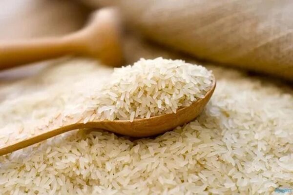 چرا برنج شمال را از مجموعه برنج دانه طلایی بخریم؟